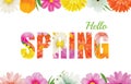 Hello spring flowers design in text background.