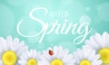 Hello spring gift card. Seasonal modern banner for your design. Ladybug creeps on the flowers. Realistic daisies. Lights bokeh. Royalty Free Stock Photo