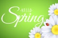 Hello spring greeting card. Ladybug creeps on the flowers. Realistic daisies. Calligraphy and lettering. Seasonal banner for your Royalty Free Stock Photo