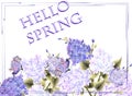 Hello spring greeting violet card with lilac flowers