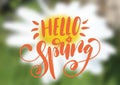 Hello spring hand drawn lettering design isolated on a blurred floral background.