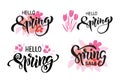 Hello Spring hand drawn vector brush lettering set