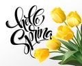 Hello Spring hand Lettering with tulip flower. Vector illustration