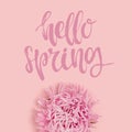 Hello spring - handwritten saying. Aster flower