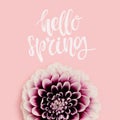 Hello spring - handwritten saying. Dahlia flower