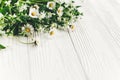 hello spring image. beautiful daisy flowers with greenery on rustic white wooden background top view. space for text. greeting ca Royalty Free Stock Photo