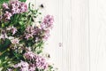 Hello spring image. beautiful daisy and lilac flowers with gree Royalty Free Stock Photo