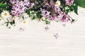 Hello spring image. beautiful daisy and lilac flowers with gree Royalty Free Stock Photo