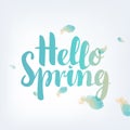 Hello spring inscription