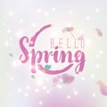 Hello spring inscription