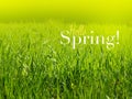 Hello spring - inspirational motivation quote