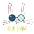 Hello Spring lettering with bunny in glasses Royalty Free Stock Photo