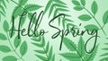 Hello spring text with leaves over pastel background Royalty Free Stock Photo