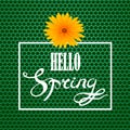 Hello Spring Lettering Design Royalty Free Stock Photo