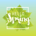 Hello spring. Lettering with hand drawn letters. Label and banner template with green leaves with frame illustration. Royalty Free Stock Photo