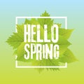 Hello spring. Lettering with hand drawn letters. Label and banner template with green leaves with frame illustration. Royalty Free Stock Photo