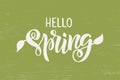 Hello spring lettering Royalty Free Stock Photo