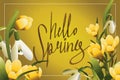 Hello spring lettering horisontal postcard or banner