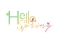 Hello Spring lettering with leaves and birds, color isolated vector illustration Royalty Free Stock Photo