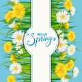 Hello Spring lettering template background with flowers bouquet dandelions and daisies, chamomiles, grass. Vector