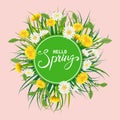 Hello Spring lettering template background with flowers bouquet dandelions and daisies, chamomiles, grass. Vector