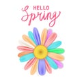 Hello Spring lettering template banner with fresh flower multi colored daisies, chamomiles. Vector illustration. Floral Royalty Free Stock Photo