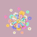 Hello Spring lettering template banner with fresh flowers bouquet multi colored daisies, chamomiles. Vector illustration Royalty Free Stock Photo