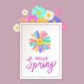 Hello Spring lettering template banner with fresh flowers bouquet multi colored daisies, chamomiles. Vector illustration Royalty Free Stock Photo