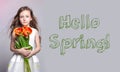 Hello Spring, 8 march. Fashion red-haired girl with tulips in hands. Studio photo on light coloured background. Spring day Royalty Free Stock Photo