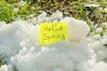 Hello spring, Melting snow on green grass close up - between winter and spring concept background