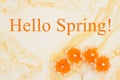 Hello Spring message with yellow flowers on yellow watercolor paper Royalty Free Stock Photo