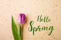 Hello spring phrase and flower flat lay. Royalty Free Stock Photo