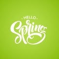 Hello Spring phrase lettering. Hand drawn calligraphy. Vector illustration Royalty Free Stock Photo