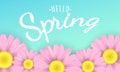 Hello spring phrase. Seasonal background. Pink camomiles flowers on a blue background. Vector illustration Royalty Free Stock Photo