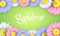 Hello spring phrase. Seasonal poster. Multicolor camomile flowers on a green background. Vector illustration Royalty Free Stock Photo