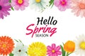 Hello spring season greeting card with colorful flower frame background template. Can be use