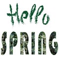 Hello SPRING. Set of two isolated words on a white background. Green rough brush inscription and letters with a texture. Royalty Free Stock Photo