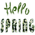 Hello SPRING. Set of two isolated words on a white background. Green rough brush inscription and letters with a texture. Royalty Free Stock Photo