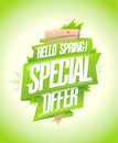 Hello spring special offer vector poster or web banner design template with green ribbons Royalty Free Stock Photo