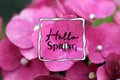 Hello Spring. Spring card with text design on blur pink spring flowers background.