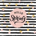 Hello Spring text as logotype, badge and icon.