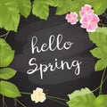 Hello Spring text background Royalty Free Stock Photo