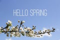 Hello Spring text and blooming tree branch on blue sky background