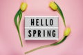 Hello Spring - text on a display lightbox with yellow  tulips on pink background Royalty Free Stock Photo