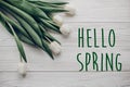 Hello spring text fresh sign. flat lay. stylish white tulips on