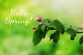 Hello spring text fresh sign. Stylish floral greeting card or poster template. Nature floral background. Blooming Apple tree. Pink
