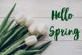 Hello spring text fresh sign. stylish white tulips on rustic woo