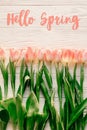 hello spring text sign, beautiful pink tulips on white rustic wooden background flat lay. flowers in soft morning sunlight with s Royalty Free Stock Photo