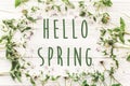 Hello spring text sign on fresh daisy lilac flowers and green he