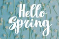 Hello spring text sign on many white spring flowers on blue paper flat lay. Stylish tender floral greeting card, handwritten